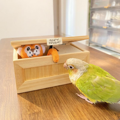 Please Don't Buy This Useless Box