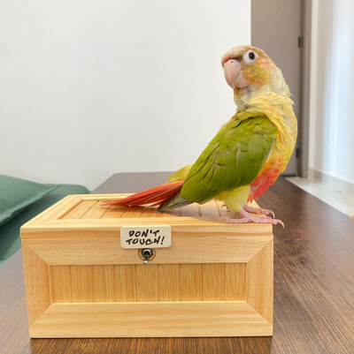Please Don't Buy This Useless Box